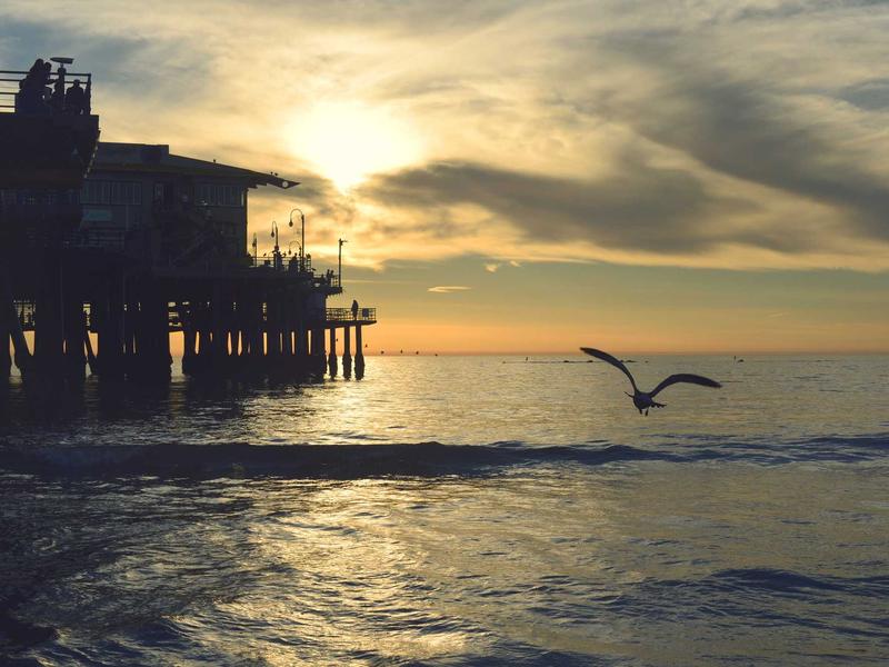 记忆碎片<br>uwsuuyl.cn 植入体真伪辨